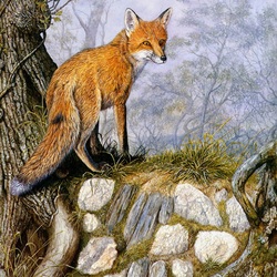 Jigsaw puzzle: A fox