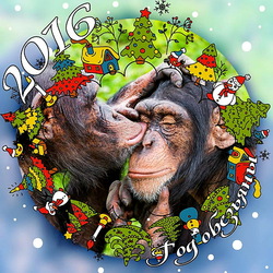 Jigsaw puzzle: Year of the monkey