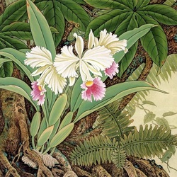 Jigsaw puzzle: Orchid
