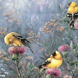 Jigsaw puzzle: Birds and thistles