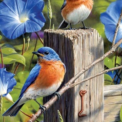 Jigsaw puzzle: Bluebirds on the garden gate