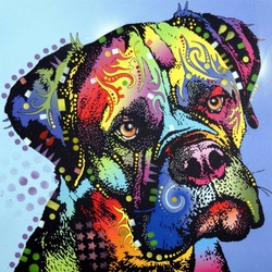 Jigsaw puzzle: Boxer