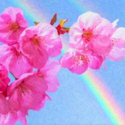 Jigsaw puzzle: Pink apple flowers