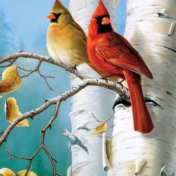 Jigsaw puzzle: Cardinals on the birch