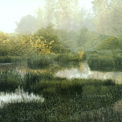 Jigsaw puzzle: In the swamp