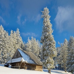 Jigsaw puzzle: Hut in the mountains