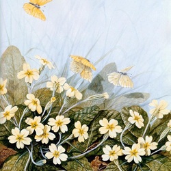 Jigsaw puzzle: Butterflies and flowers
