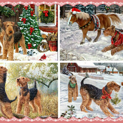 Jigsaw puzzle: Airedale terriers