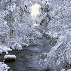 Jigsaw puzzle: Winter river