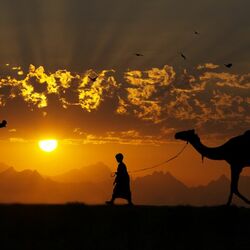 Jigsaw puzzle: Sunset in Africa