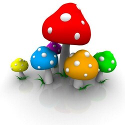 Jigsaw puzzle: Mushrooms