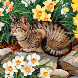 Jigsaw puzzle: Cat in daffodils