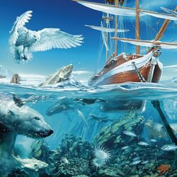 Jigsaw puzzle: Aquatic life