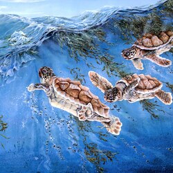 Jigsaw puzzle: Turtles