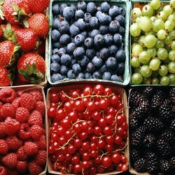 Jigsaw puzzle: Berries