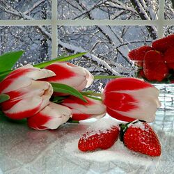 Jigsaw puzzle: Tulips and strawberries