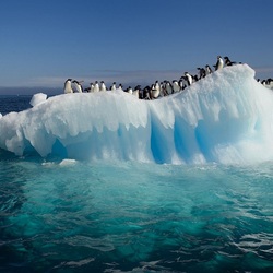 Jigsaw puzzle: Warm day in Antarctica