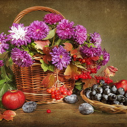 Jigsaw puzzle: Still life with asters and fruits