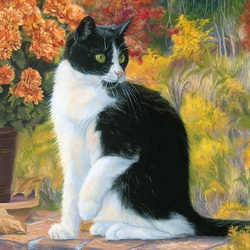 Jigsaw puzzle: Black and white cat