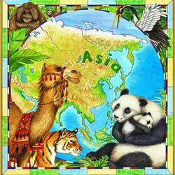 Jigsaw puzzle: Asia