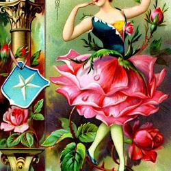 Jigsaw puzzle: the Rose