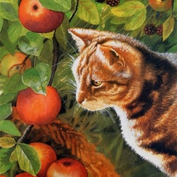 Jigsaw puzzle: Cat and apples