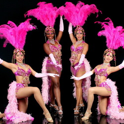 Jigsaw puzzle: Samba dancers