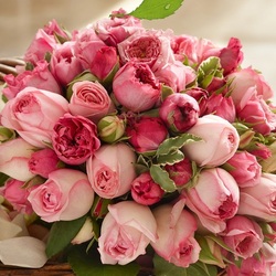 Jigsaw puzzle: Tenderness of roses