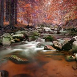 Jigsaw puzzle: River