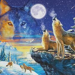 Jigsaw puzzle: Wolf time