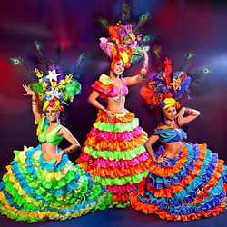 Jigsaw puzzle: Samba dancers