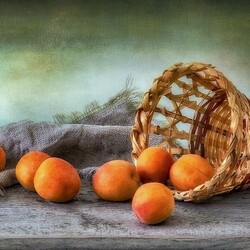 Jigsaw puzzle: Apricots and basket