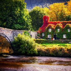 Jigsaw puzzle: House in red-green foliage