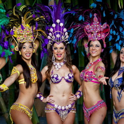 Jigsaw puzzle: Samba dancers