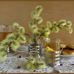 Jigsaw puzzle: Fluffy willow