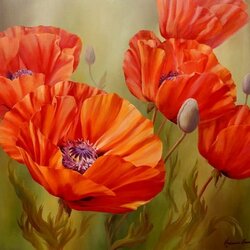 Jigsaw puzzle: Adorable poppies