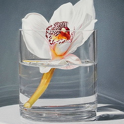 Jigsaw puzzle: Orchid in a glass