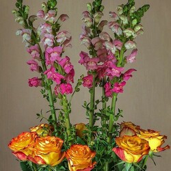Jigsaw puzzle: Roses and snapdragons