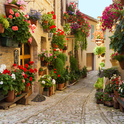 Jigsaw puzzle: Street of old Europe