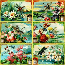 Jigsaw puzzle: Flowers and dragonflies