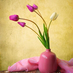 Jigsaw puzzle: Vase with tulips