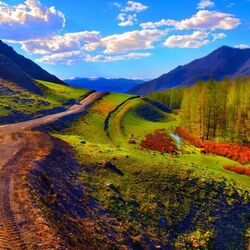 Jigsaw puzzle: Mountain road