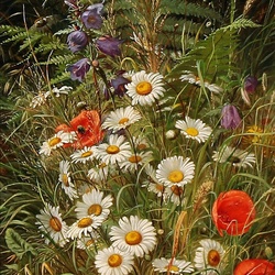 Jigsaw puzzle: Chamomile and poppies