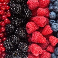 Jigsaw puzzle: Berry mix