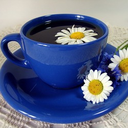 Jigsaw puzzle: Blue cup