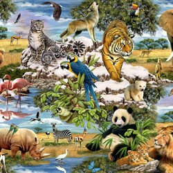 Jigsaw puzzle: Animal world