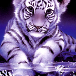 Jigsaw puzzle: Tiger cub