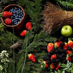 Jigsaw puzzle: Berries among pine branches