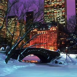 Jigsaw puzzle: Winter in New York's Central Park