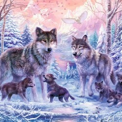 Jigsaw puzzle: Arctic wolves